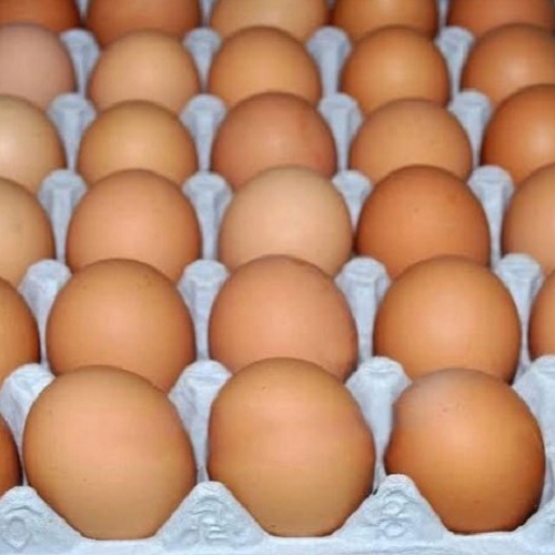 What are Brown Organic Eggs& Where they supply in India